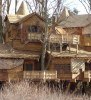 Alnwick Treehouse exterior