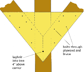 Detail of braces meeting