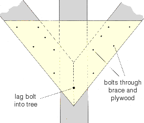 Detail of braces meeting