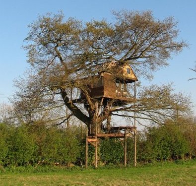 [Image: http://www.thetreehouseguide.com/images/forum/outsideinspring.jpg]