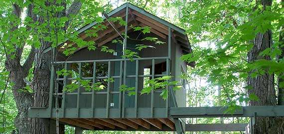 The Treehouse Guide Download Tree House Plans