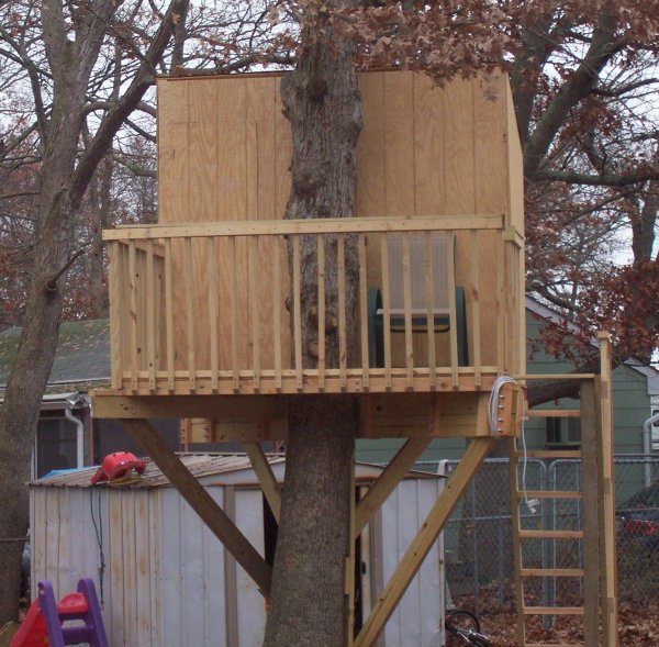Simple Tree House Design Plans