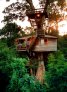 Brunelli treehouse