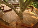 Brunelli treehouse