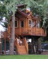 David Blood treehouse