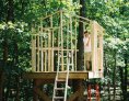 Johnston treehouse