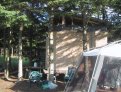 Joseph treehouse