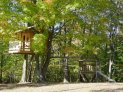 Maclean treehouse