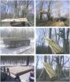 Maclean treehouse