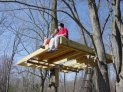 Maclean treehouse