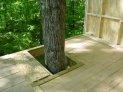 Maclean treehouse