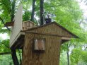Maclean treehouse