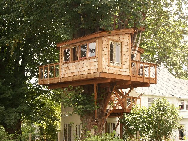The Treehouse Guide - World treehouse list - USA