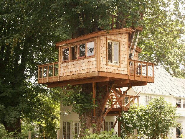 Tree House Building Plans – House Plans